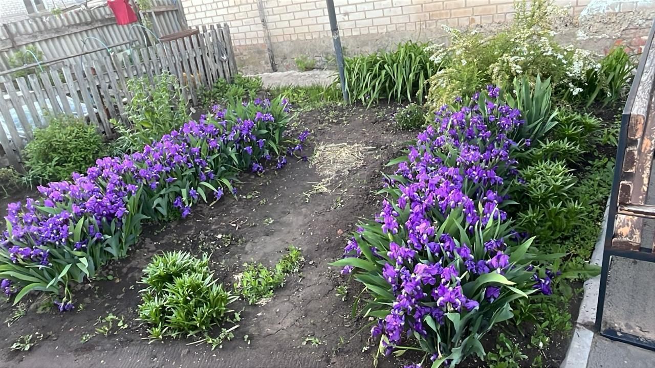 Аксубай ишегалдында чәчәкләр – йортның визит карточкасы кебек