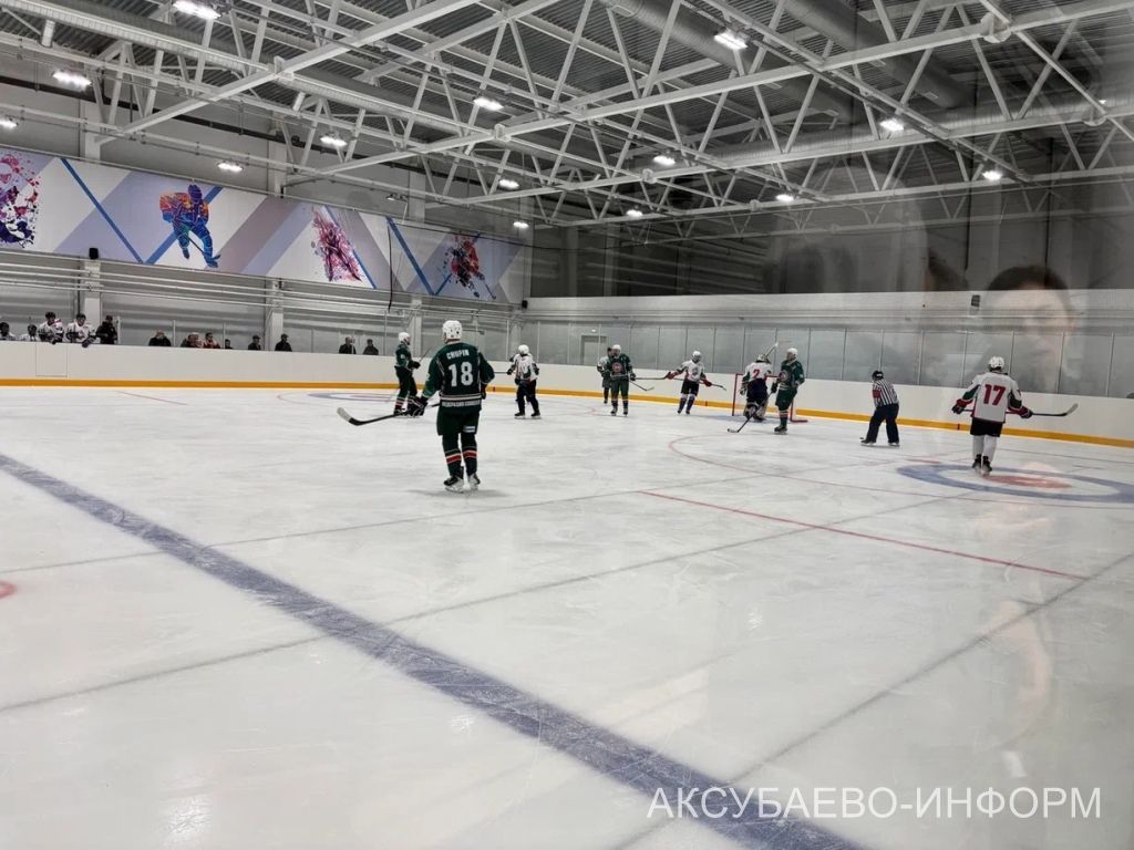 Аксубай бозында Татарстан хоккееның югары класслы вәкилләре уйнады
