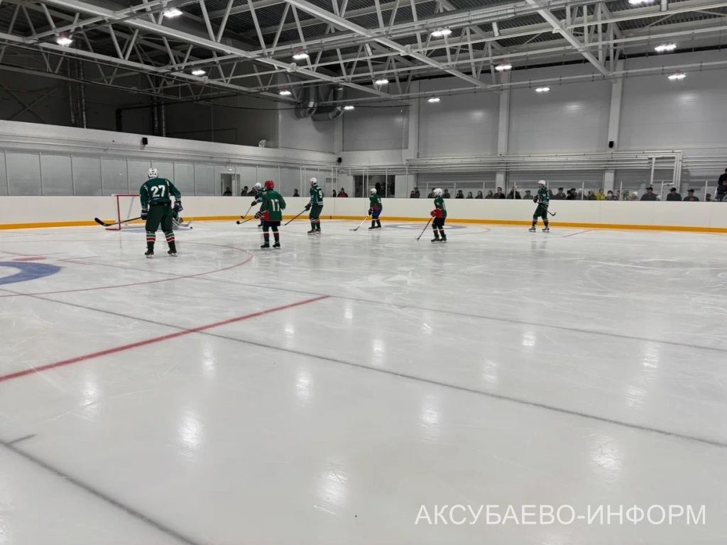 На аксубаевском льду играли представители высшего класса татарстанского хоккея