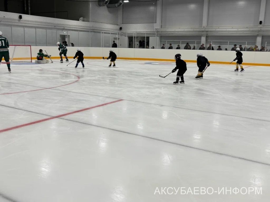 На аксубаевском льду играли представители высшего класса татарстанского хоккея