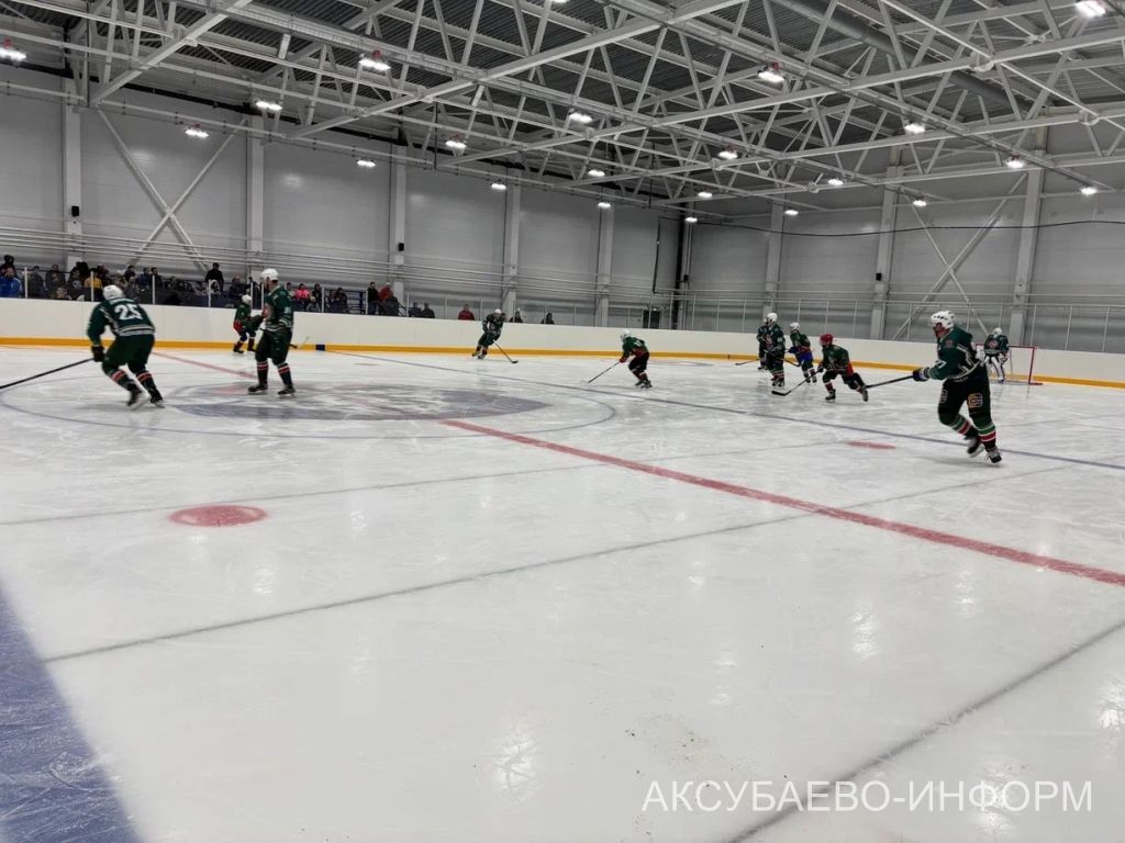 На аксубаевском льду играли представители высшего класса татарстанского хоккея