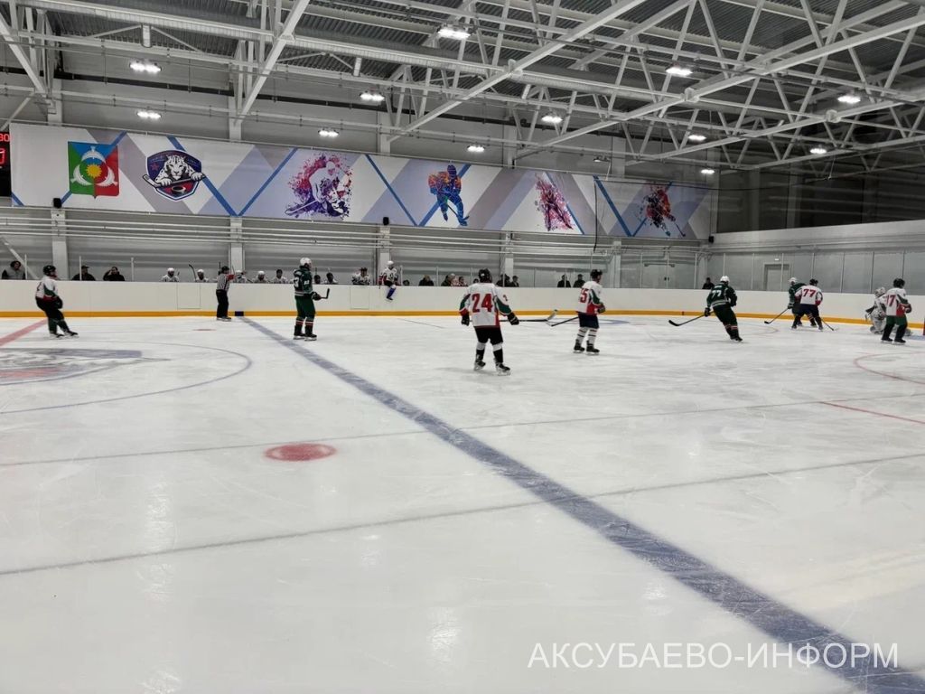 Аксубай бозында Татарстан хоккееның югары класслы вәкилләре уйнады