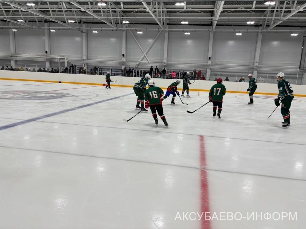 На аксубаевском льду играли представители высшего класса татарстанского хоккея
