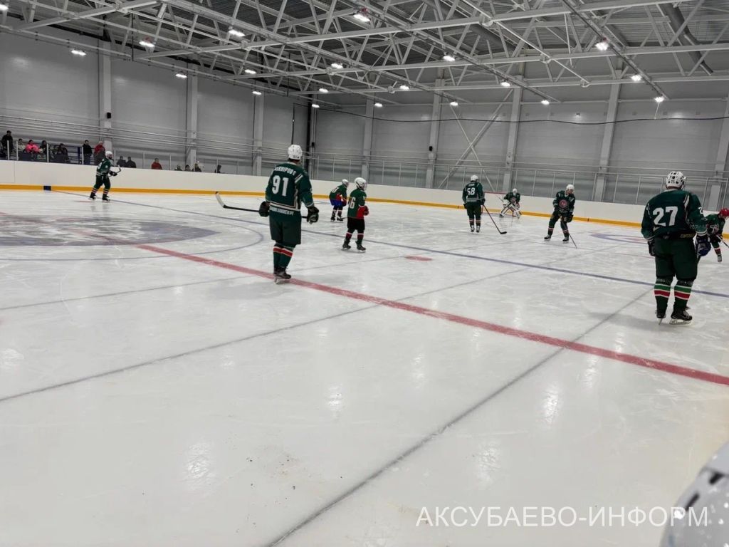 Аксубай бозында Татарстан хоккееның югары класслы вәкилләре уйнады