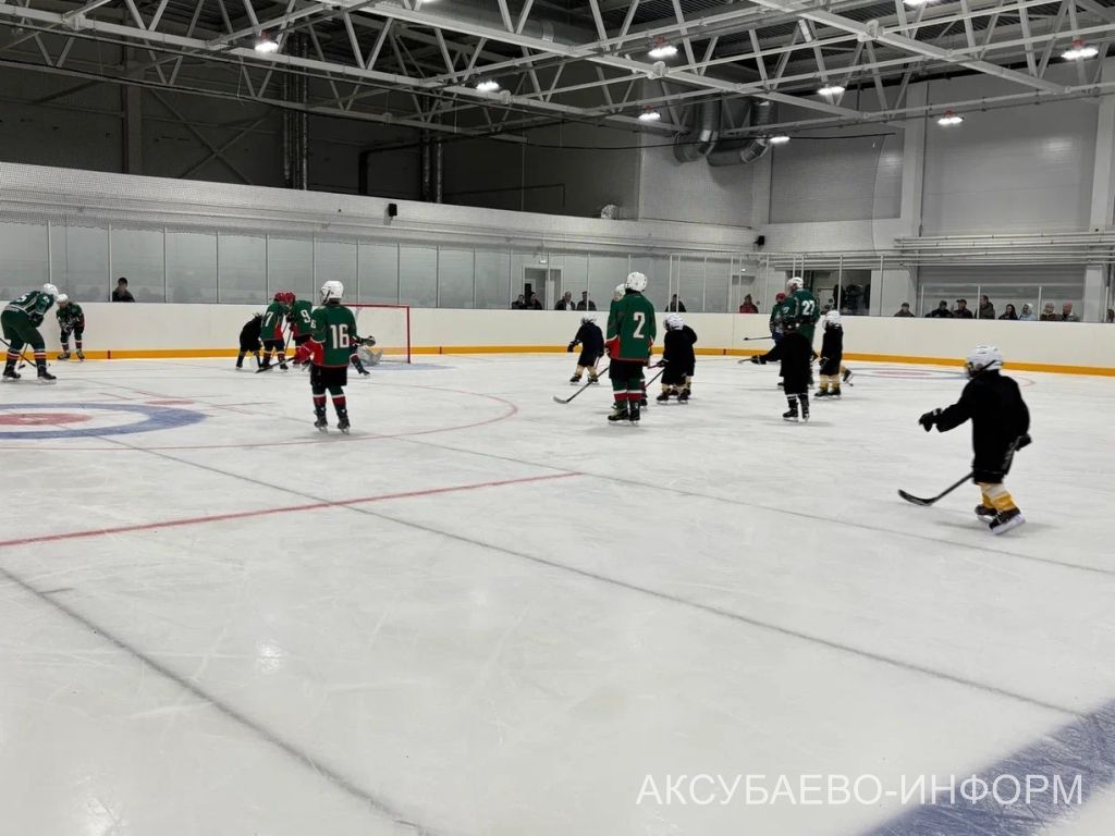 На аксубаевском льду играли представители высшего класса татарстанского хоккея