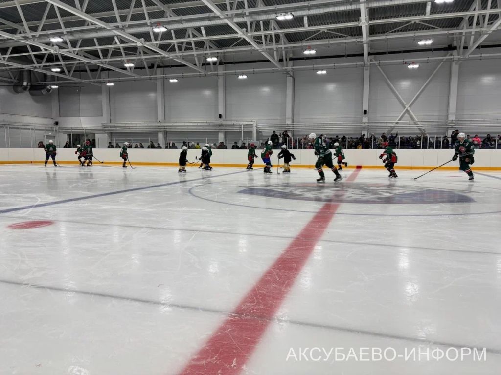 Аксубай бозында Татарстан хоккееның югары класслы вәкилләре уйнады