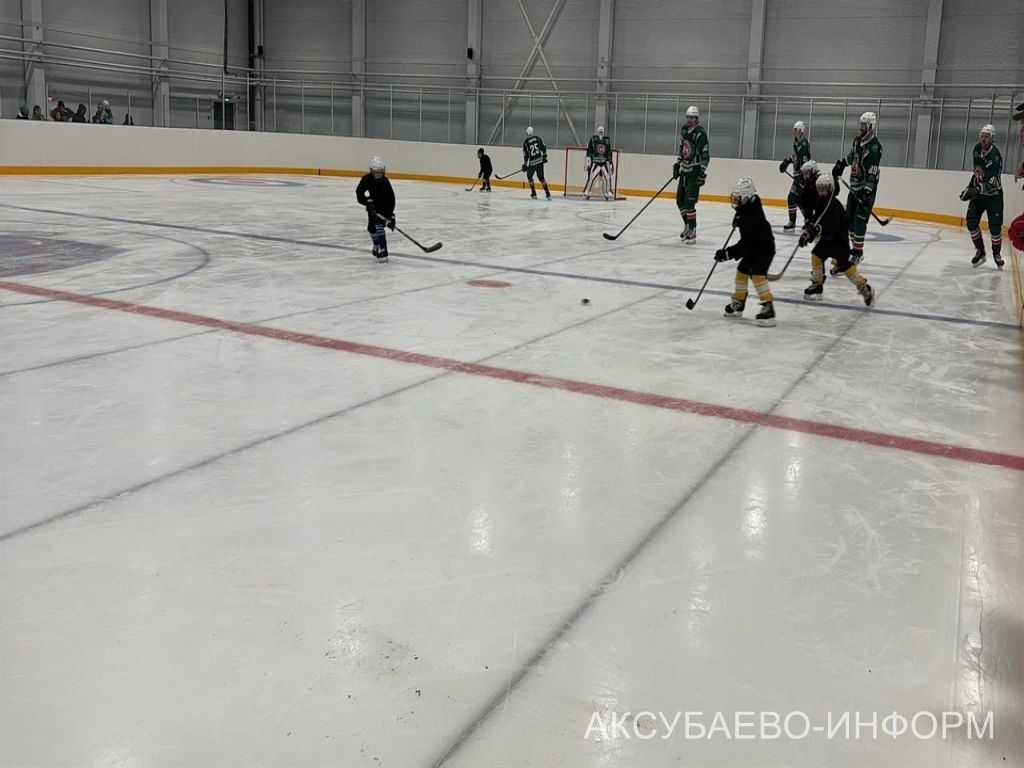На аксубаевском льду играли представители высшего класса татарстанского хоккея