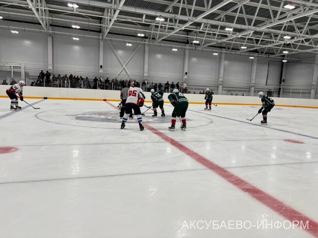 Аксубай бозында Татарстан хоккееның югары класслы вәкилләре уйнады