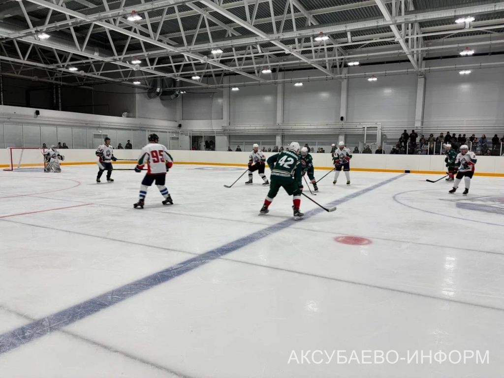 На аксубаевском льду играли представители высшего класса татарстанского хоккея