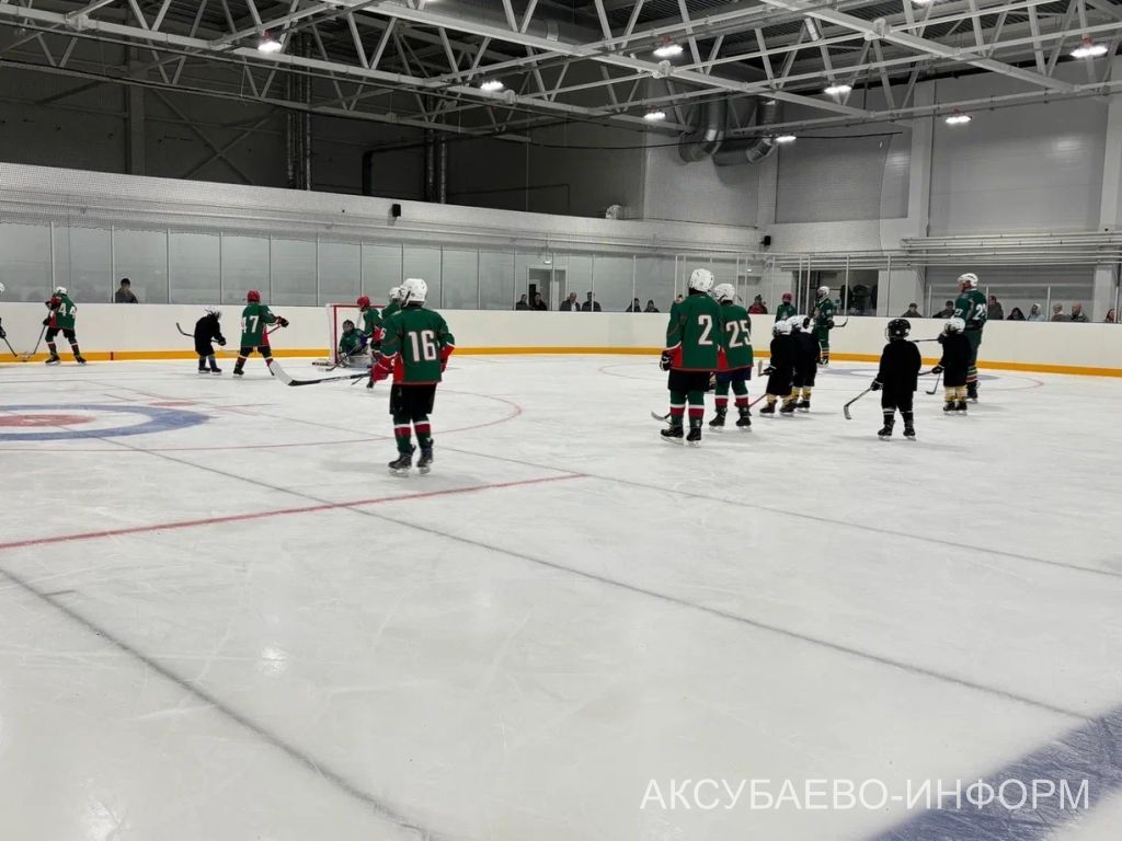 На аксубаевском льду играли представители высшего класса татарстанского хоккея