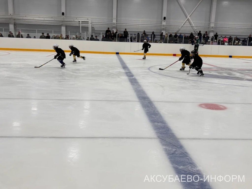 На аксубаевском льду играли представители высшего класса татарстанского хоккея
