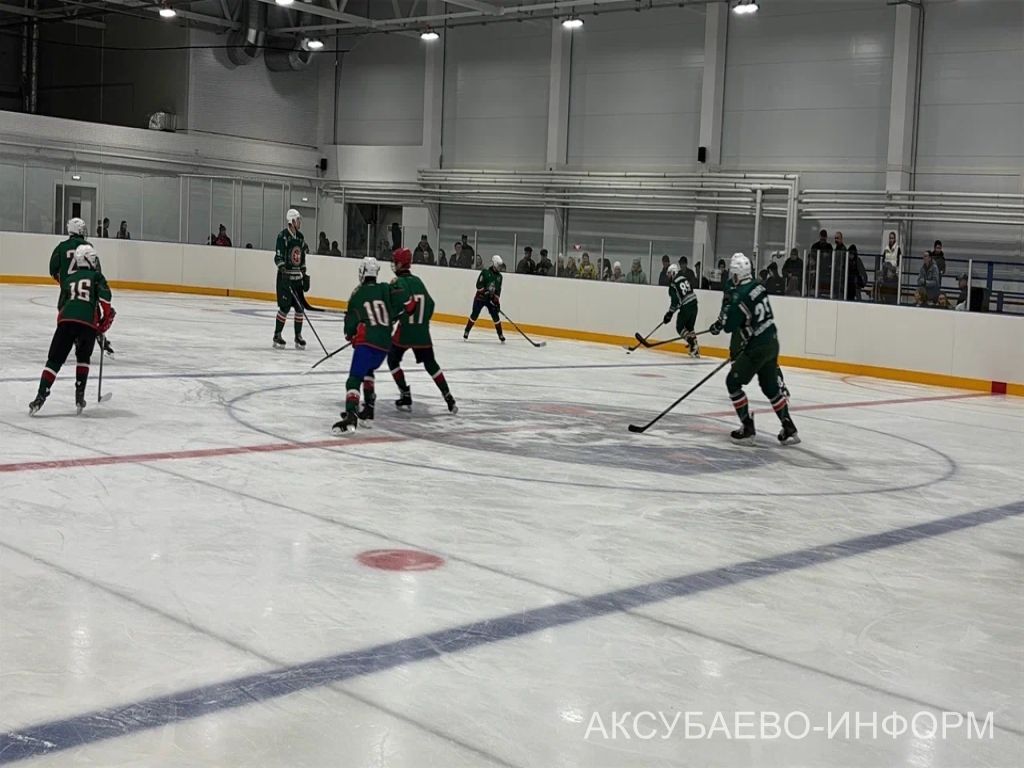 Аксубай бозында Татарстан хоккееның югары класслы вәкилләре уйнады
