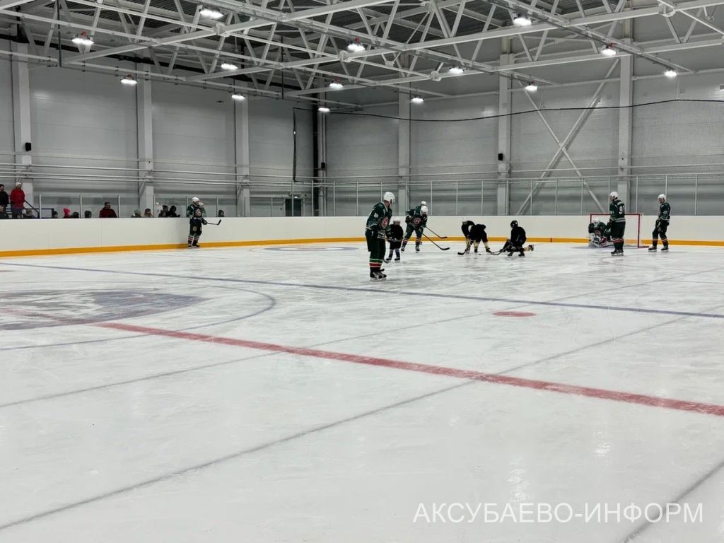 Аксубай бозында Татарстан хоккееның югары класслы вәкилләре уйнады