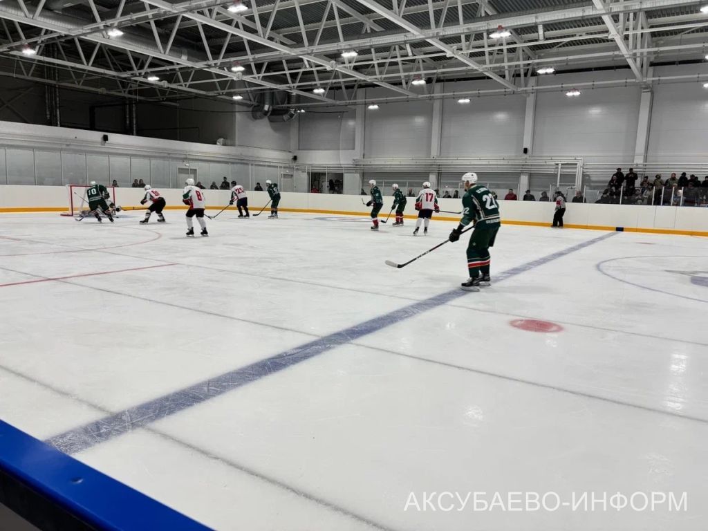 На аксубаевском льду играли представители высшего класса татарстанского хоккея