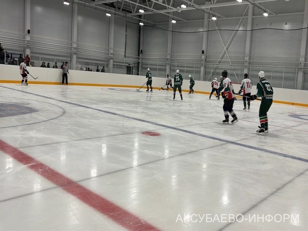 Аксубай бозында Татарстан хоккееның югары класслы вәкилләре уйнады