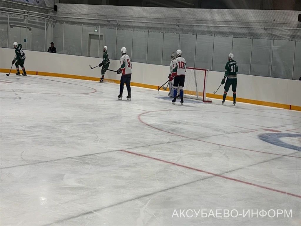 Аксубай бозында Татарстан хоккееның югары класслы вәкилләре уйнады