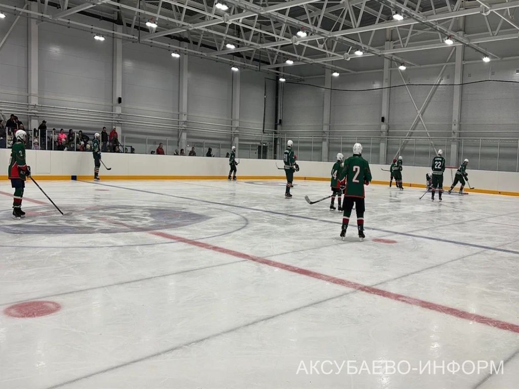 На аксубаевском льду играли представители высшего класса татарстанского хоккея