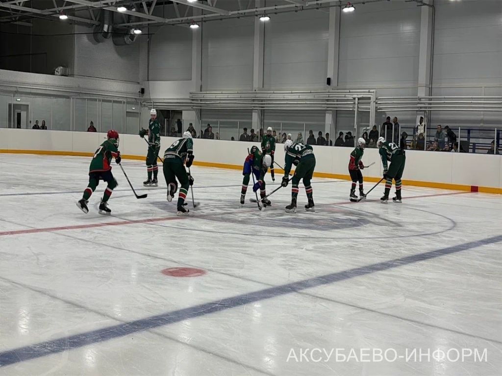 На аксубаевском льду играли представители высшего класса татарстанского хоккея