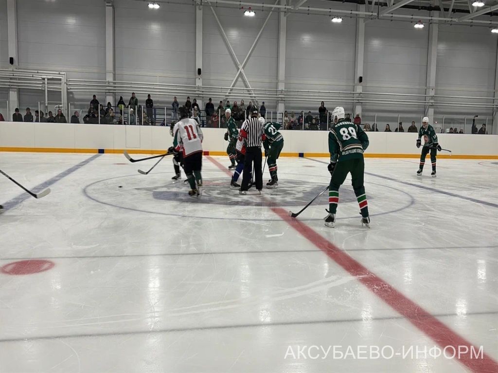 На аксубаевском льду играли представители высшего класса татарстанского хоккея