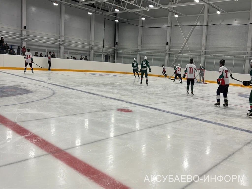На аксубаевском льду играли представители высшего класса татарстанского хоккея