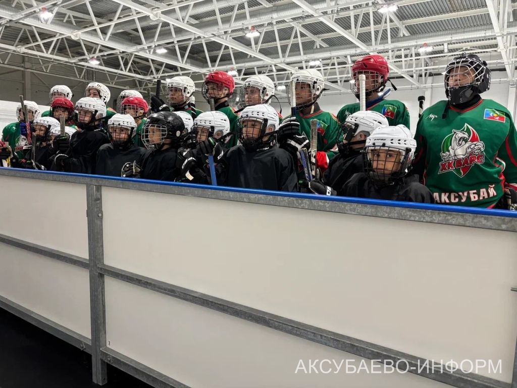 На аксубаевском льду играли представители высшего класса татарстанского хоккея