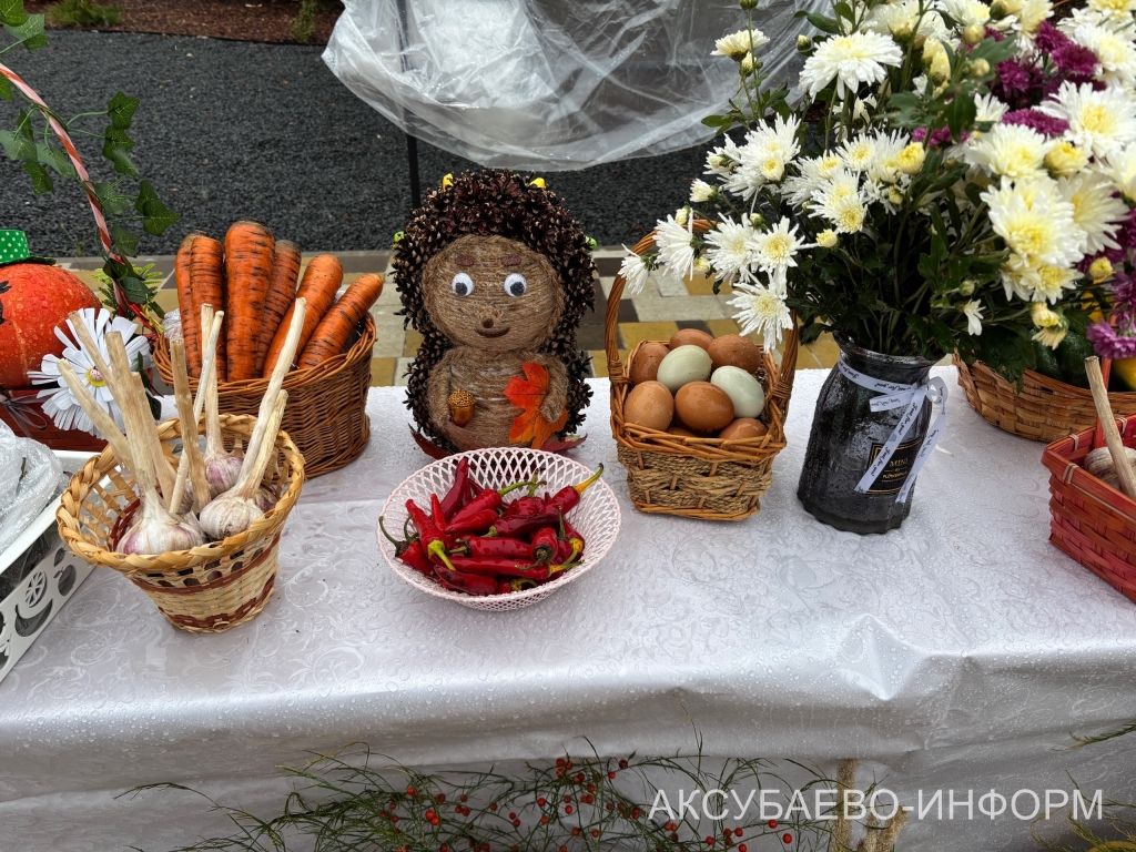 В Аксубаеве прошла традиционная сельхозярмарка