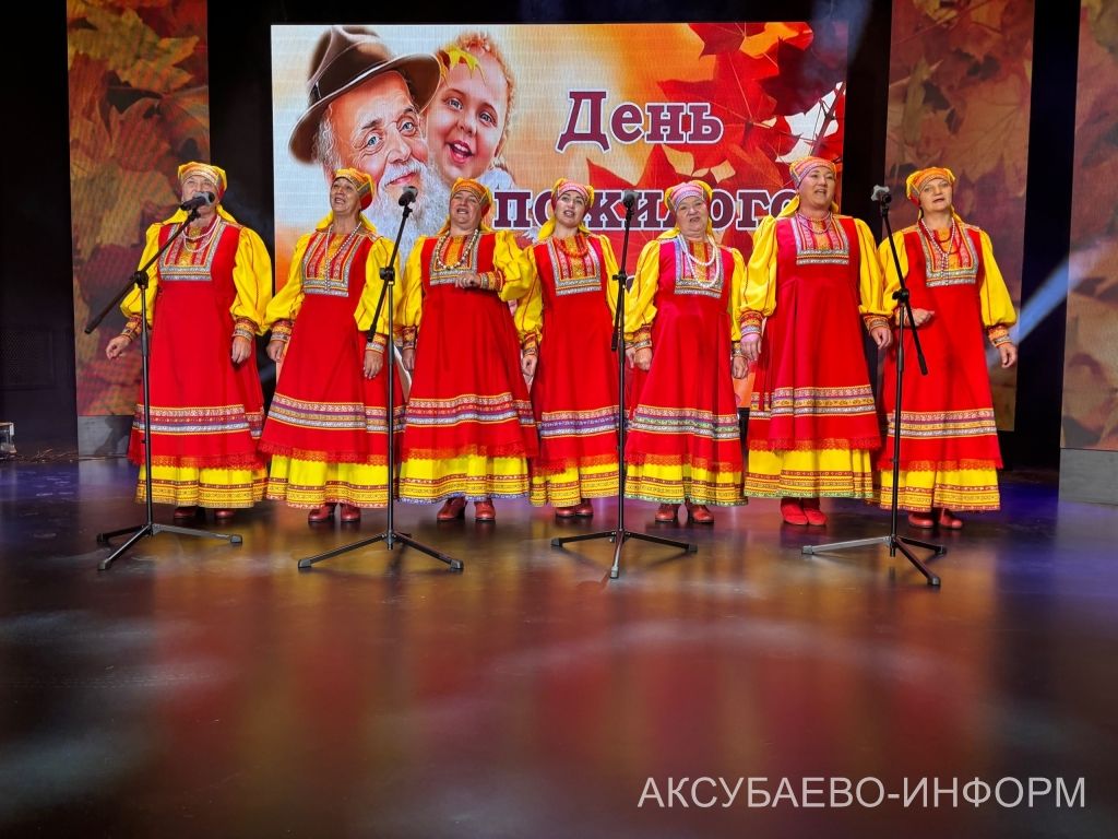 В Аксубаеве чествовали старшее поколение и волонтеров