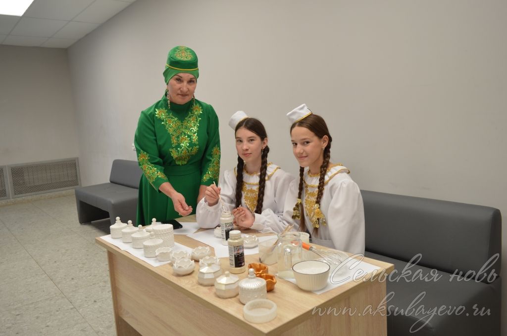 Финанс мөмкинлеге буенча авыл кабинеты ачылды