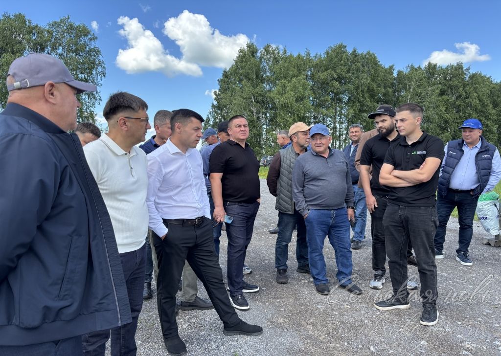 От сева до уборки — в Аксубаевском районе состоялся профессиональный диалог о выращивании озимого рапса