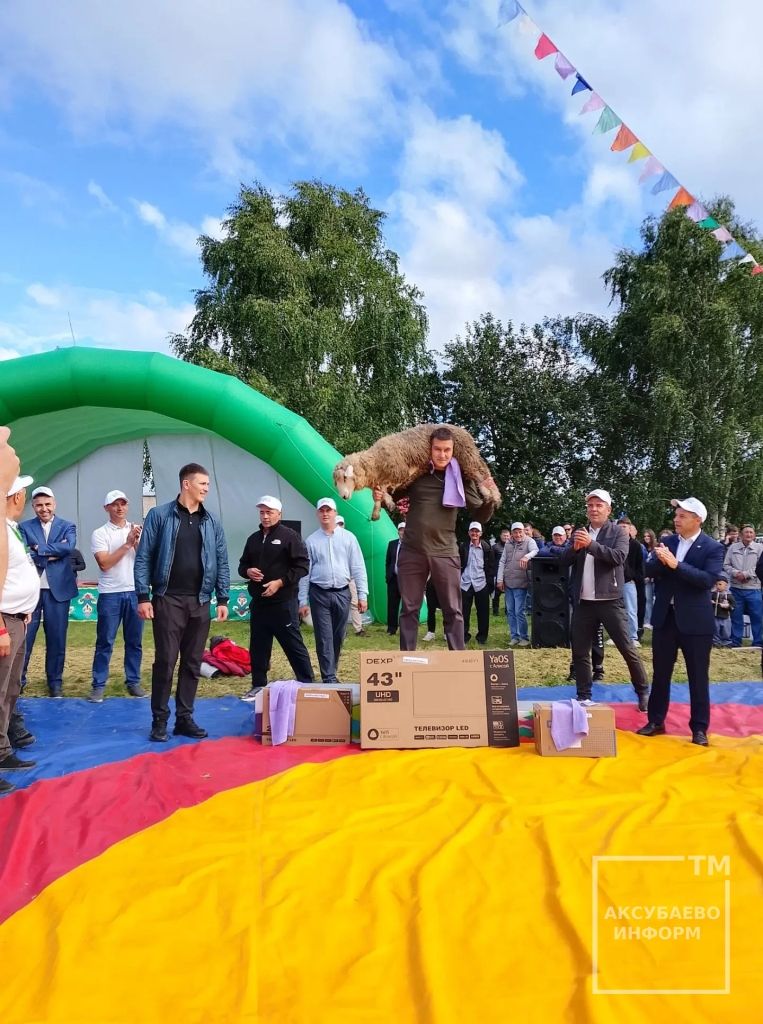 На Дне села Новое Демкино Аксубаевского района определились лучшие борцы