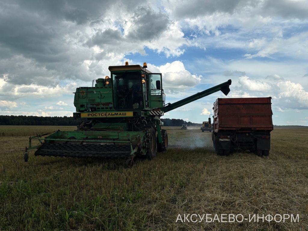 В Аксубаевском районе началась уборка урожая