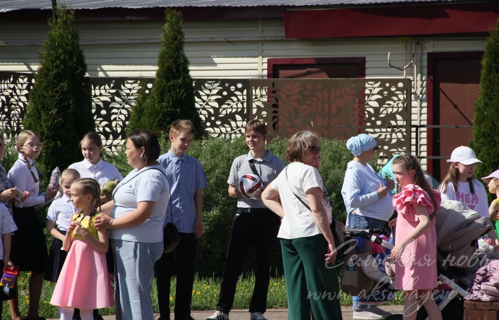 В Аксубаеве выступит народный артист Татарстана Виль Усманов