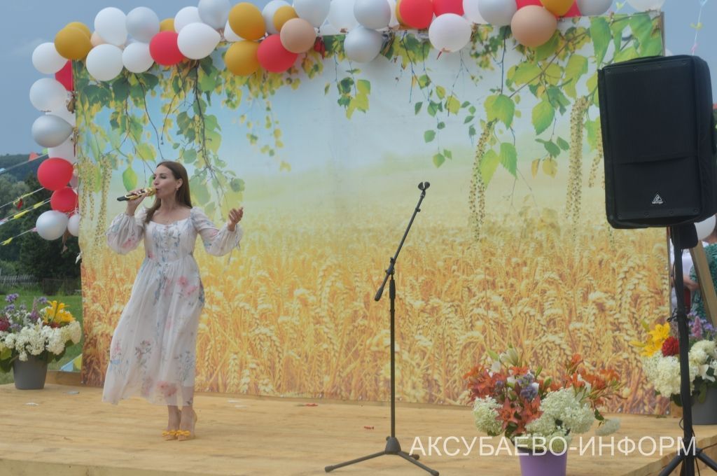 Яңа Мокшинода Авыл көнен билгеләп үттеләр