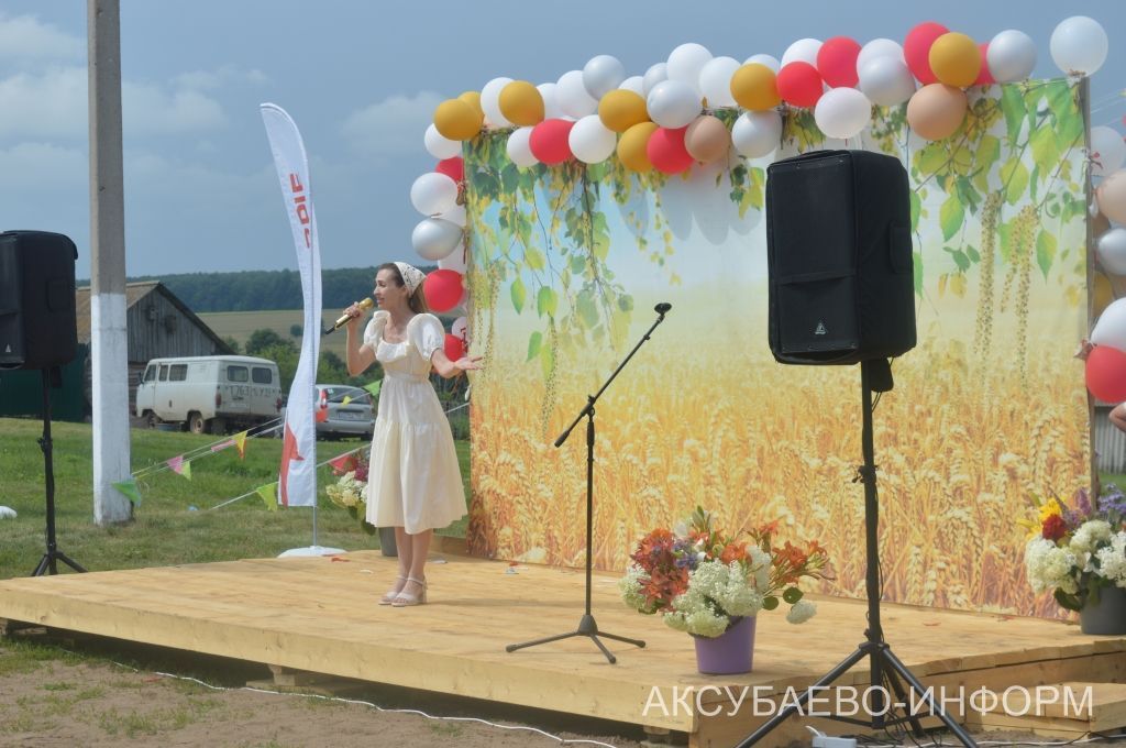 Яңа Мокшинода Авыл көнен билгеләп үттеләр