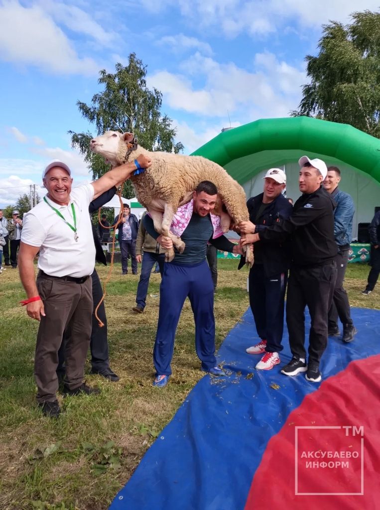В Новом Демкине Аксубаевского района первенство по национальной борьбе выиграл новошешминец