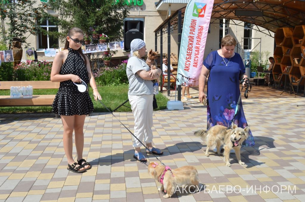 Аксубайда «Без хайваннар белән дус» фестивале узды