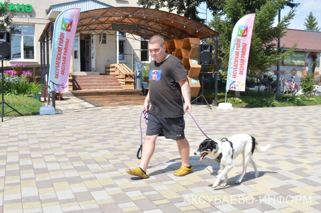 Аксубайда «Без хайваннар белән дус» фестивале узды