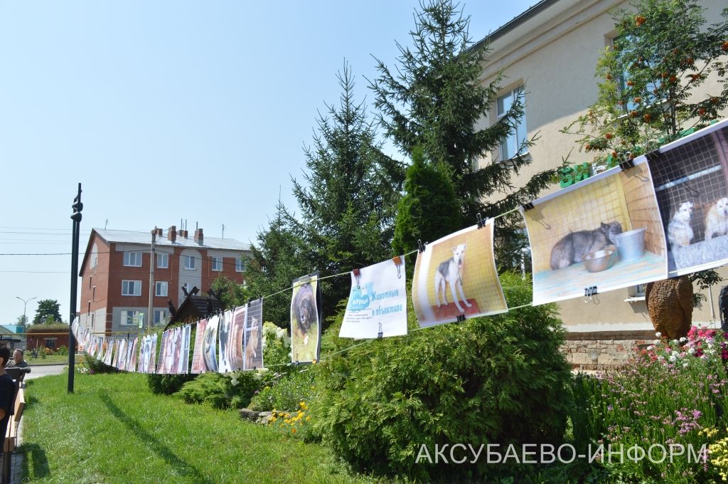 Аксубайда «Без хайваннар белән дус» фестивале узды