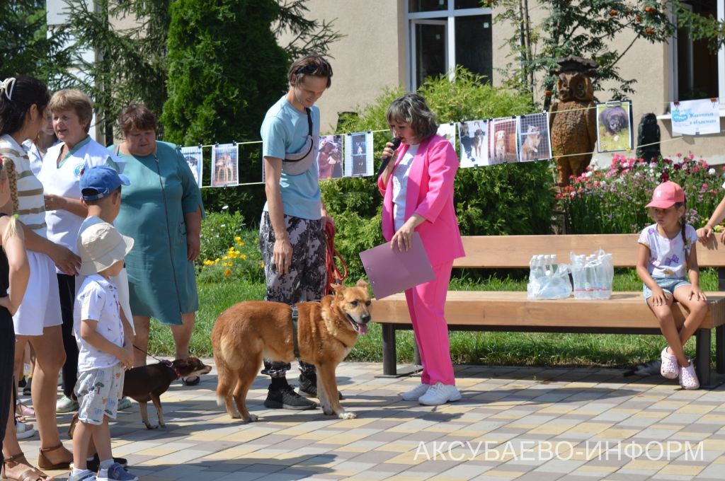 Аксубайда «Без хайваннар белән дус» фестивале узды