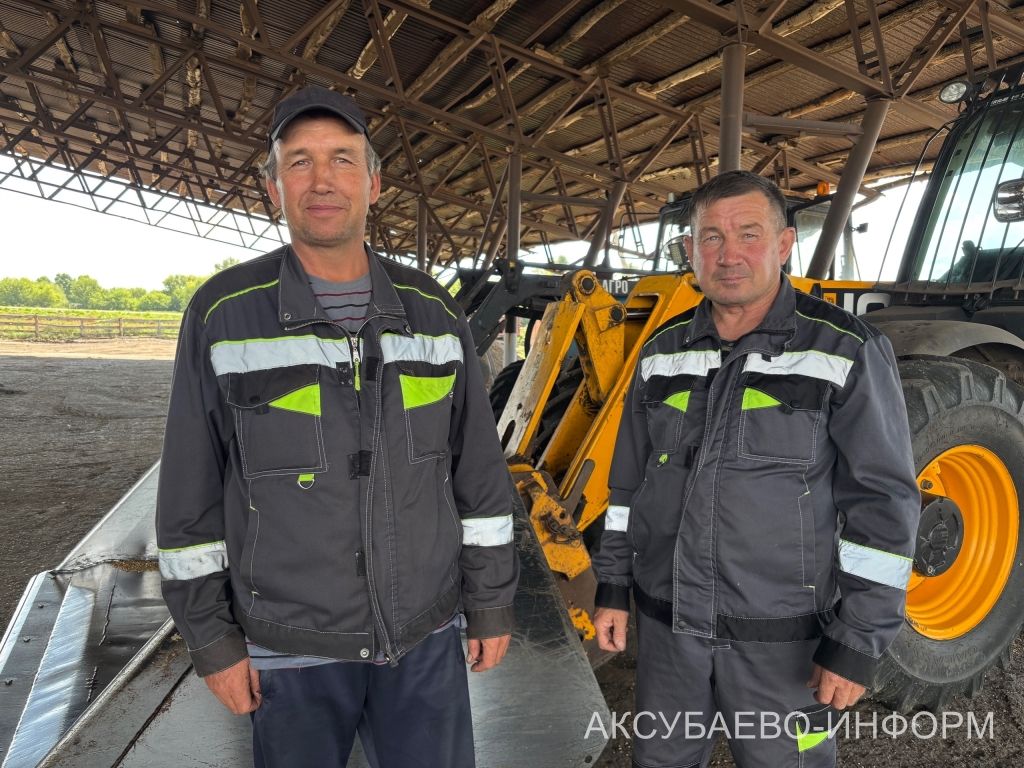 На полях Аксубаевского района набирает темпы уборка урожая