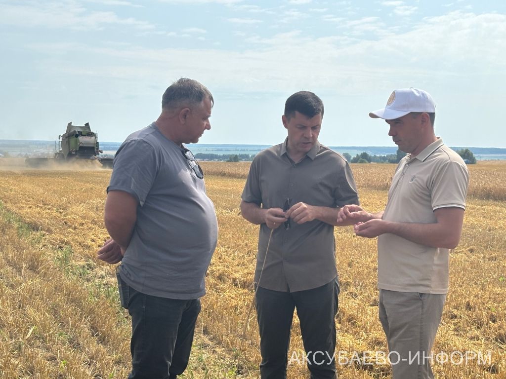 В сельхозпредприятии «Волга Селект» Аксубаевского района намолочено свыше 1300 тонн зерна