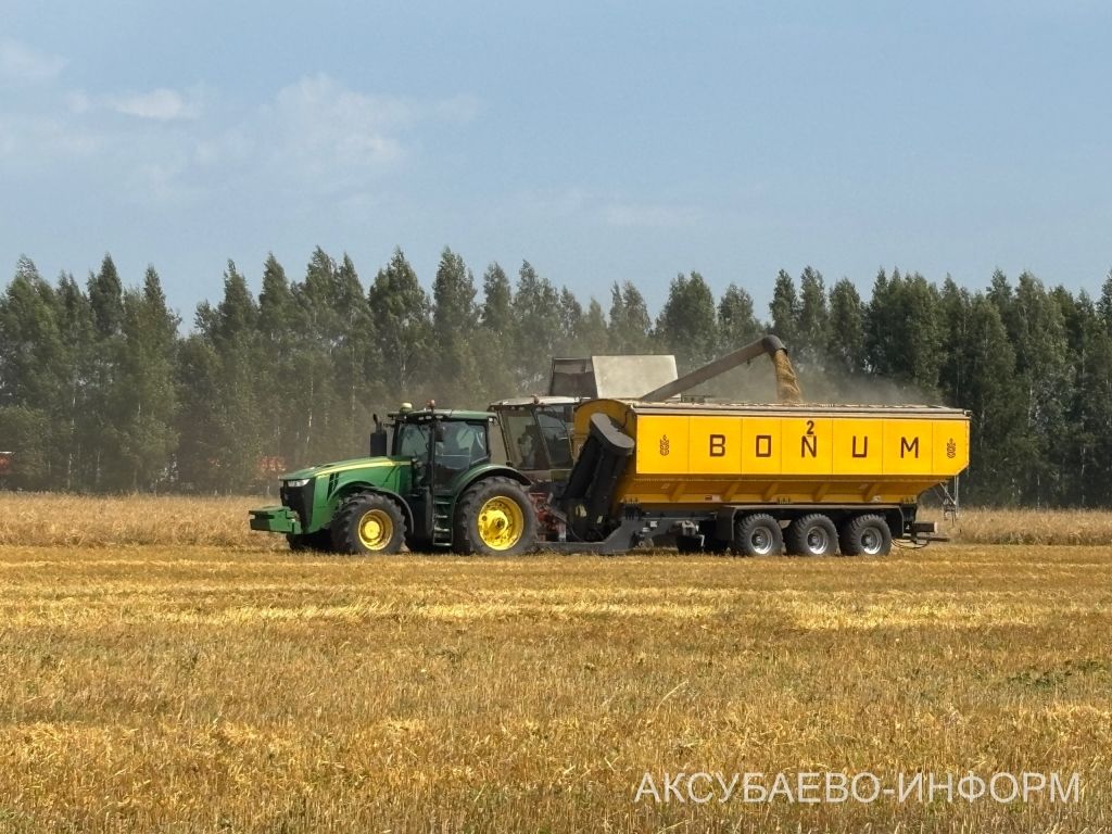 В сельхозпредприятии «Волга Селект» Аксубаевского района намолочено свыше 1300 тонн зерна