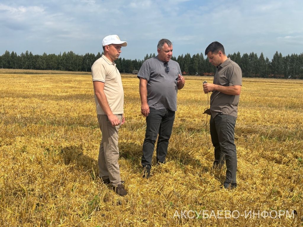 В сельхозпредприятии «Волга Селект» Аксубаевского района намолочено свыше 1300 тонн зерна