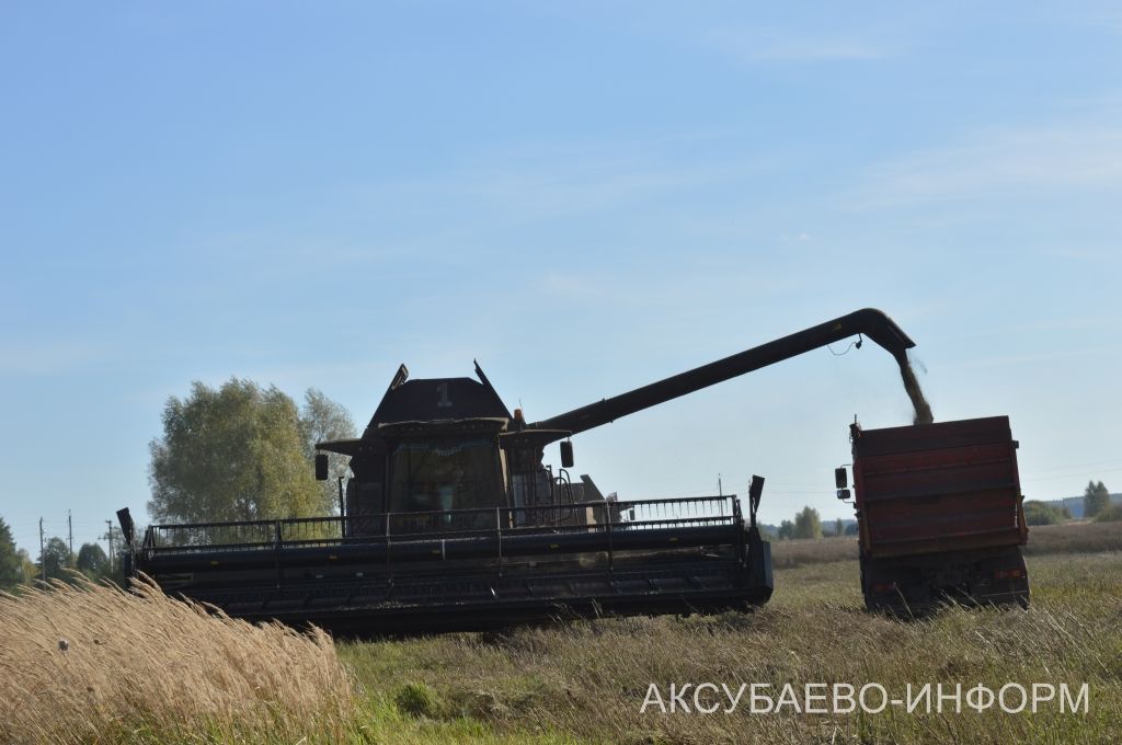 В Аксубаевском районе наградили комбайнеров во время уборки рапса