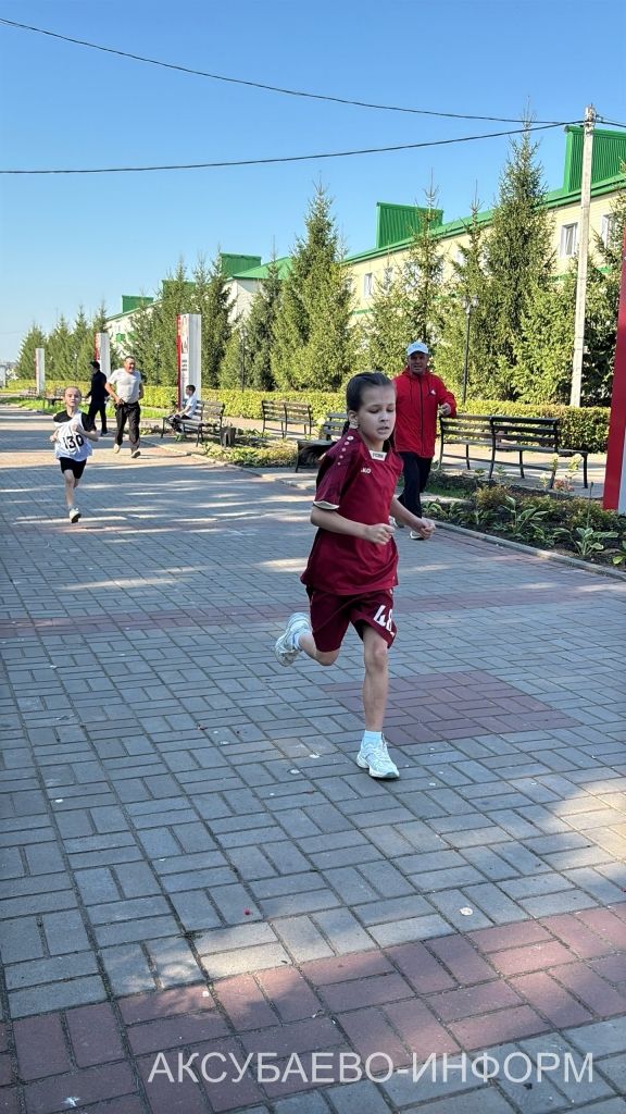 Аксубай районында «Милли кросс» йөгерүләрендә 1400 кеше старт алды