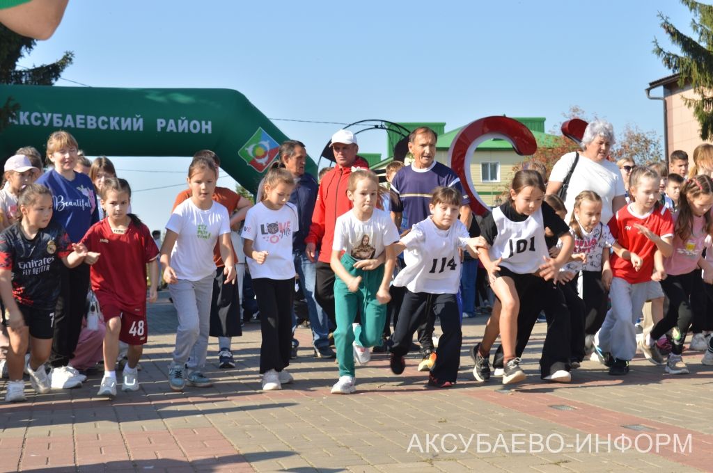В Аксубаевском районе в забегах «Кросс нации» стартовало 1400 человек