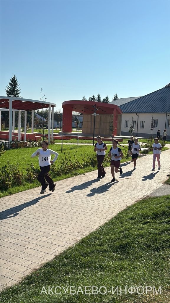 В Аксубаевском районе в забегах «Кросс нации» стартовало 1400 человек