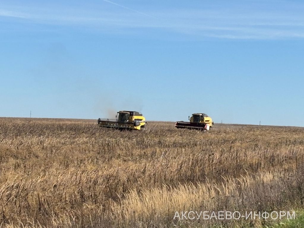 В Аксубаевском районе чествовали участников уборочной страды