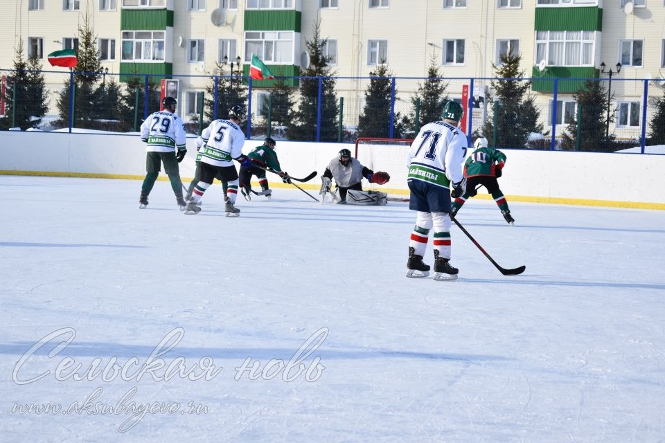 Аксубаевские хоккеисты выиграли Первенство РТ по хоккею среди мужских команд