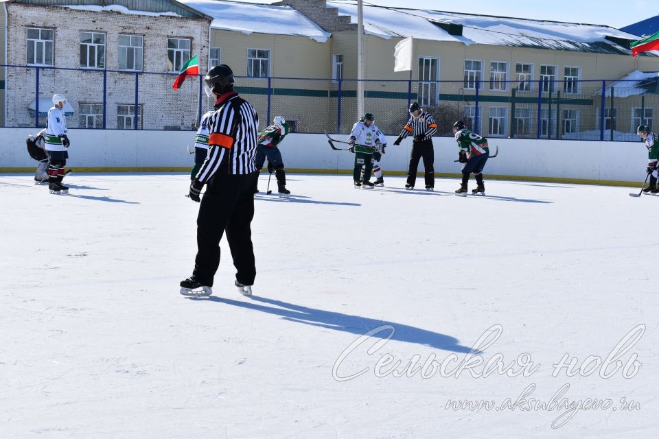 Аксубаевские хоккеисты выиграли Первенство РТ по хоккею среди мужских команд